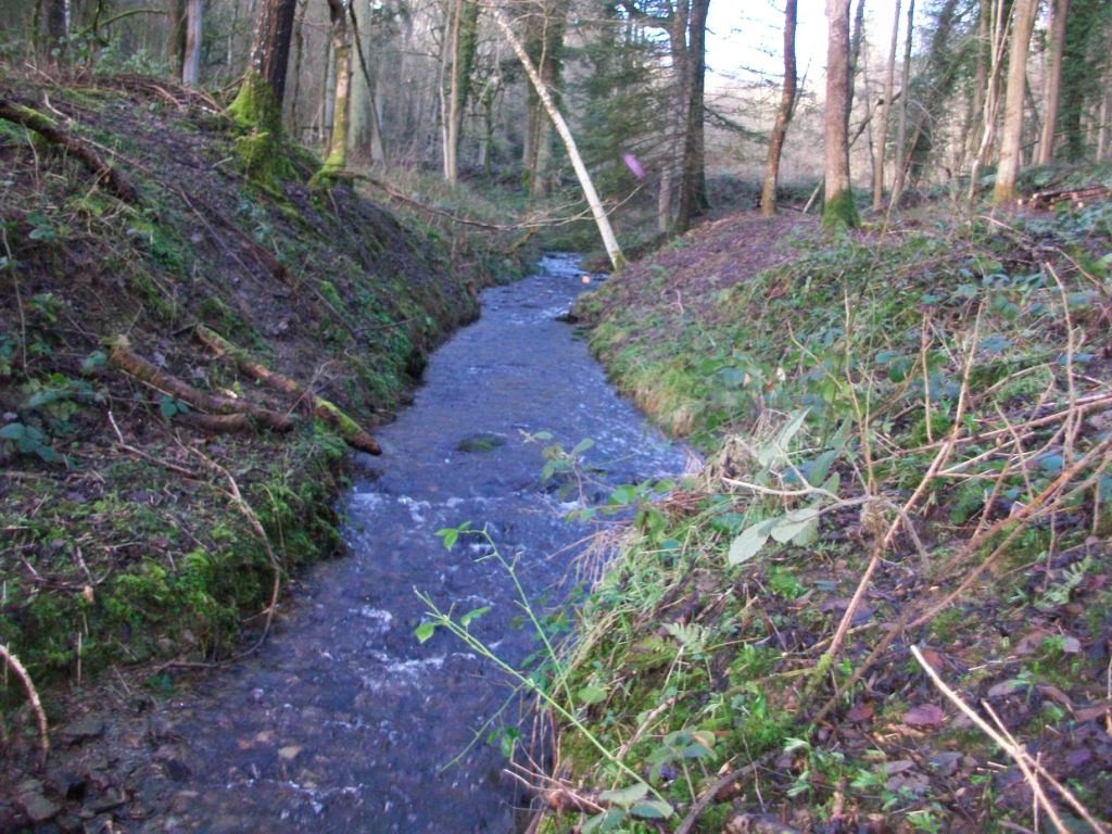 Each pool is linked by a runoff that forms a stream before entering the next pool
