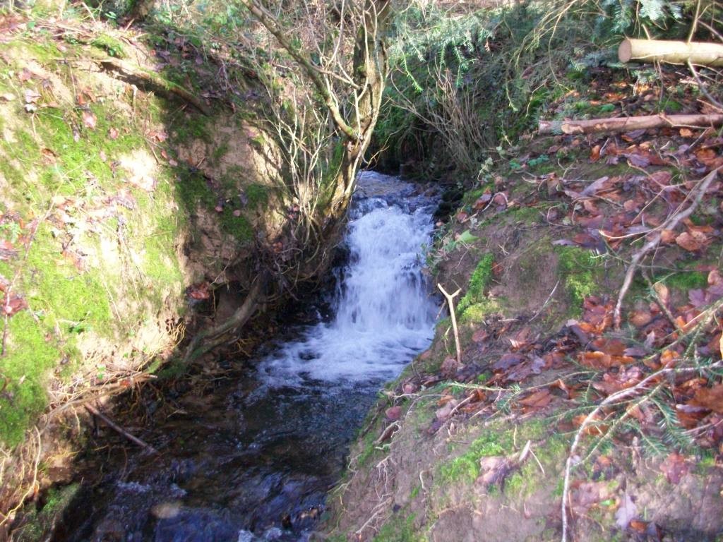 Today it is naturally formed cascades that have replaced contrived cascades of the past.